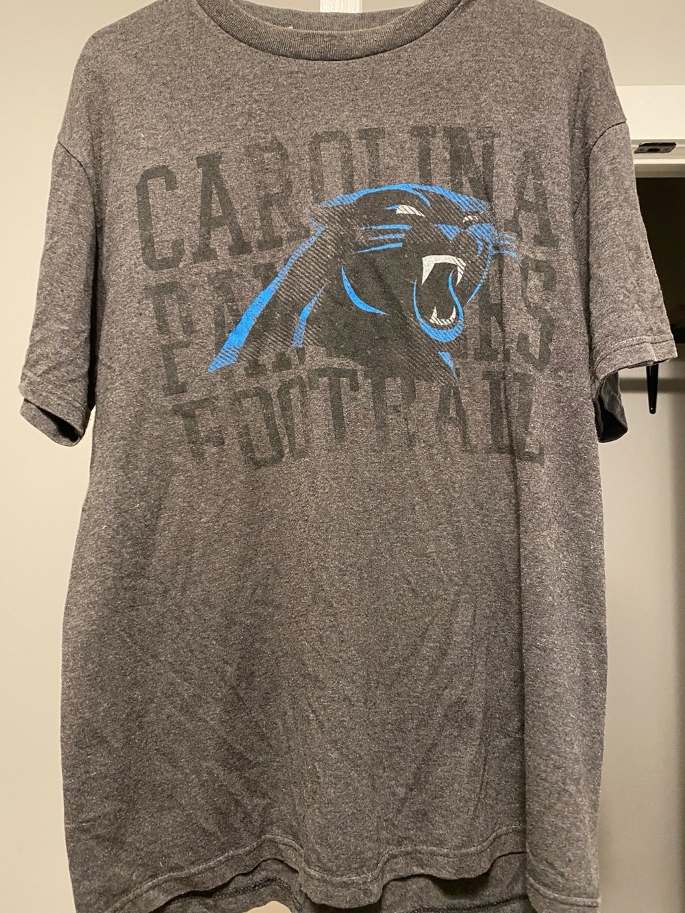 Team Apparel Gray Carolina Panthers Graphic Tee with Blue Accent